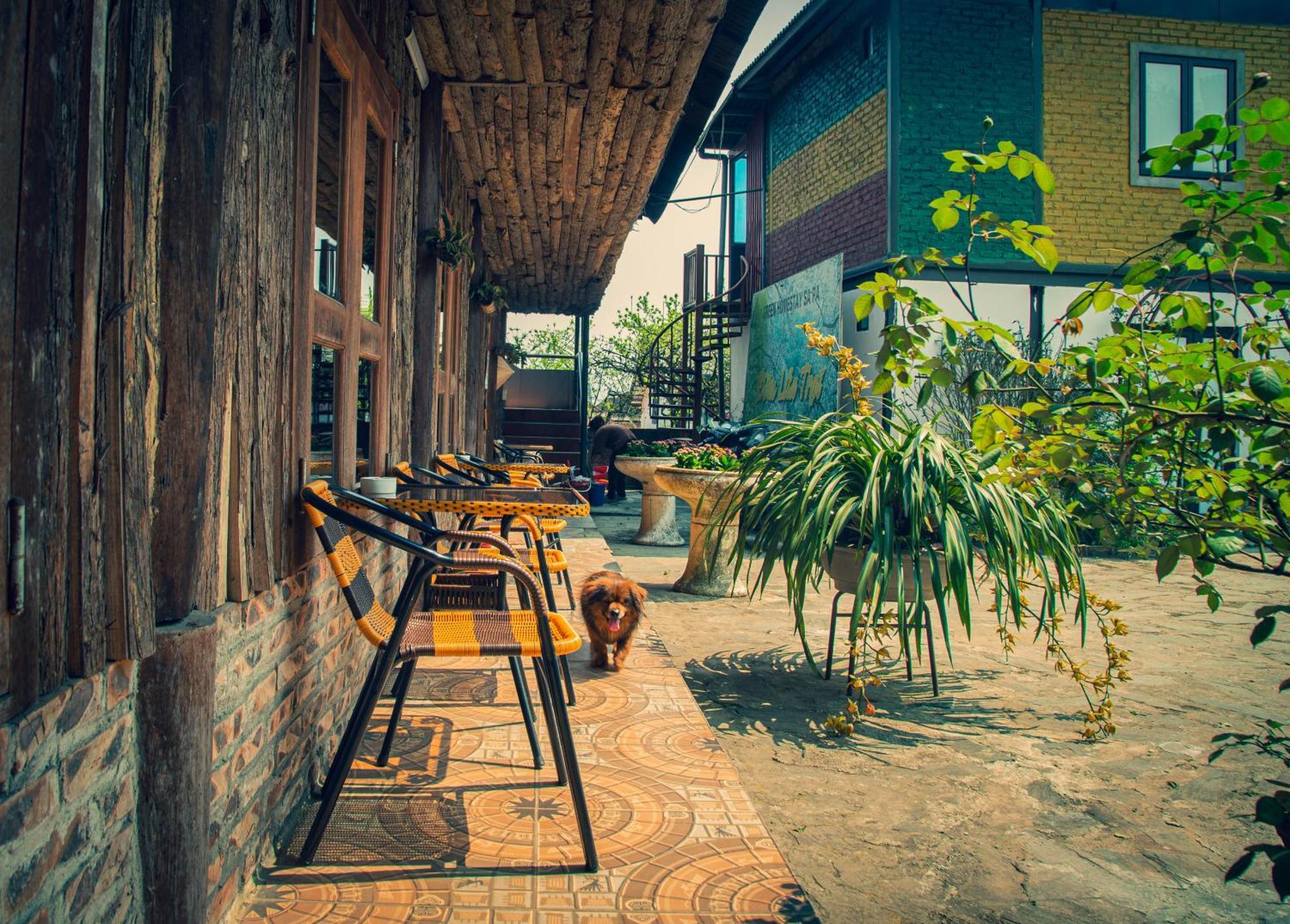Green Sapa Homestay Eksteriør bilde
